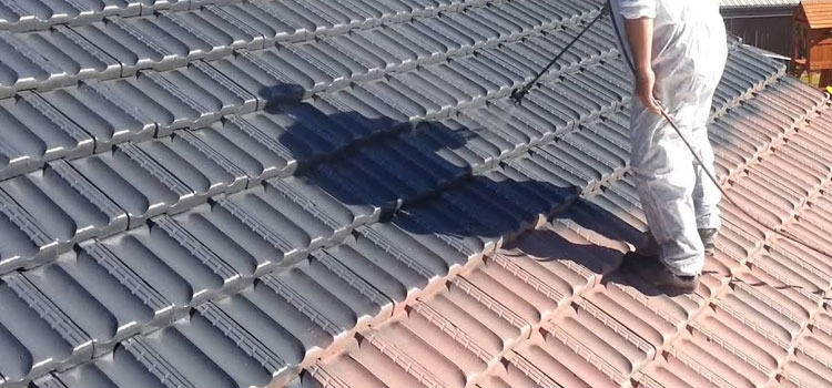 Restoration With Roof Painting